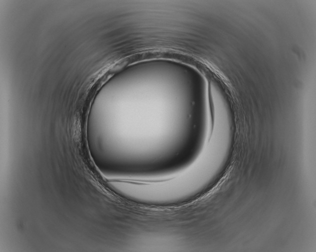 X0000115100969200911101541