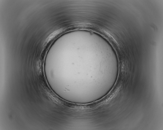 X0000115100970200911101541