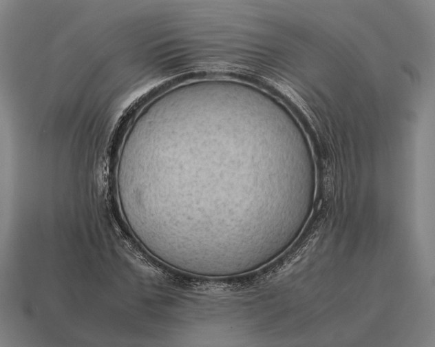 X0000115100971200911101541