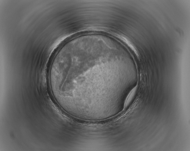 X0000115100972200911101541