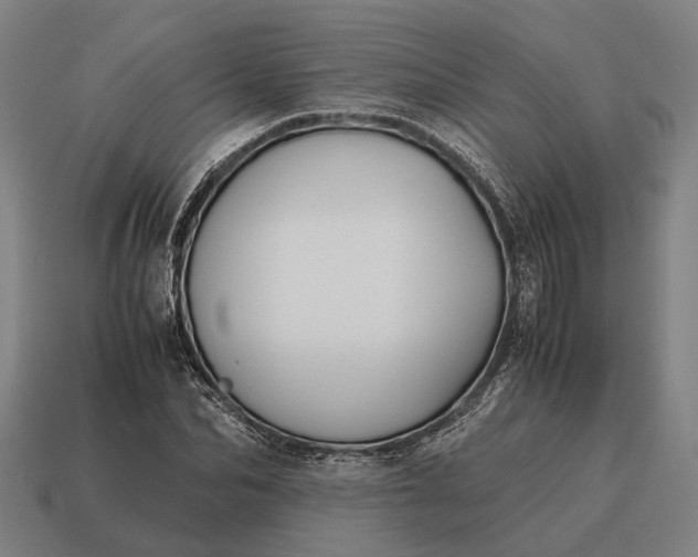 X0000115100974200911101541