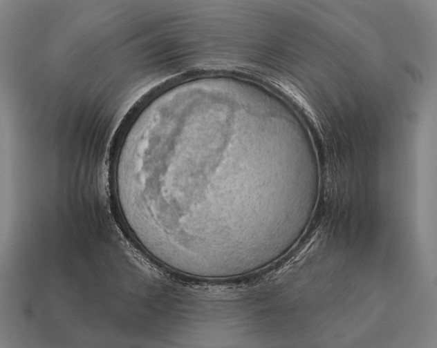 X0000115100976200911101541