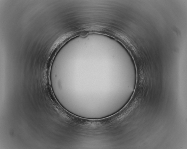 X0000115100978200911101541