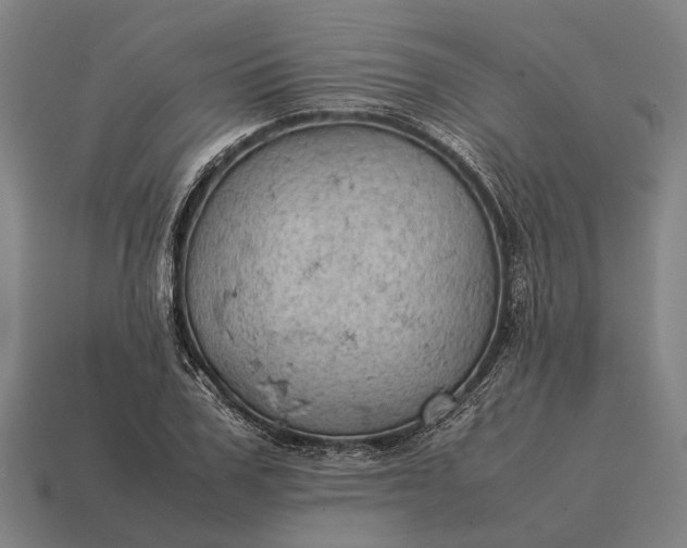 X0000115100979200911101541