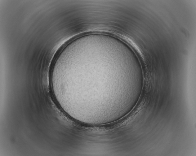 X0000115100980200911101541