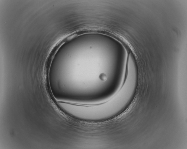 X0000115100981200911101541