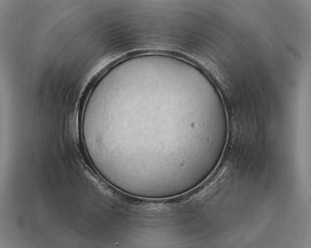 X0000115100982200911101541