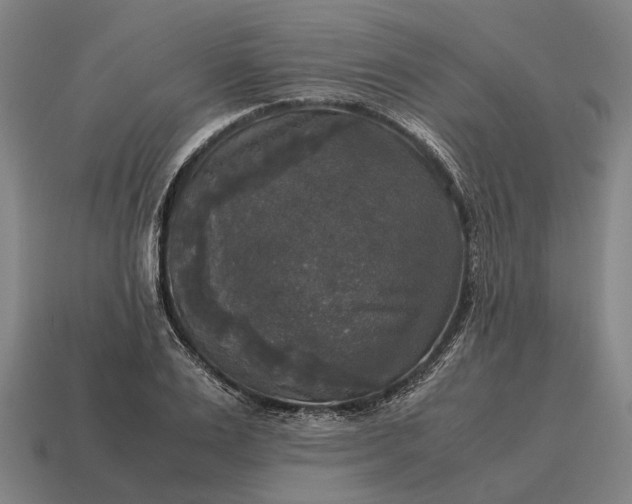 X0000115100983200911101541
