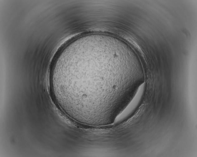 X0000115100984200911101541
