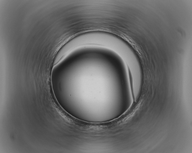 X0000115100985200911101541