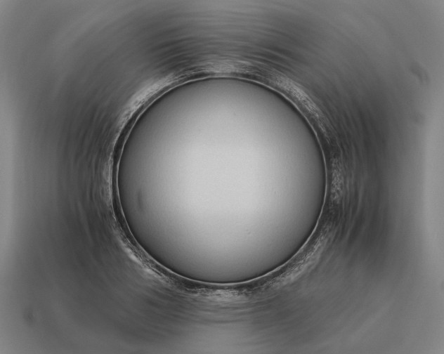 X0000115100986200911101541