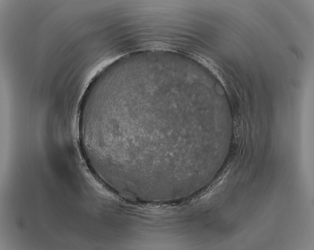 X0000115100987200911101541
