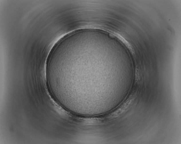 X0000115100988200911101541