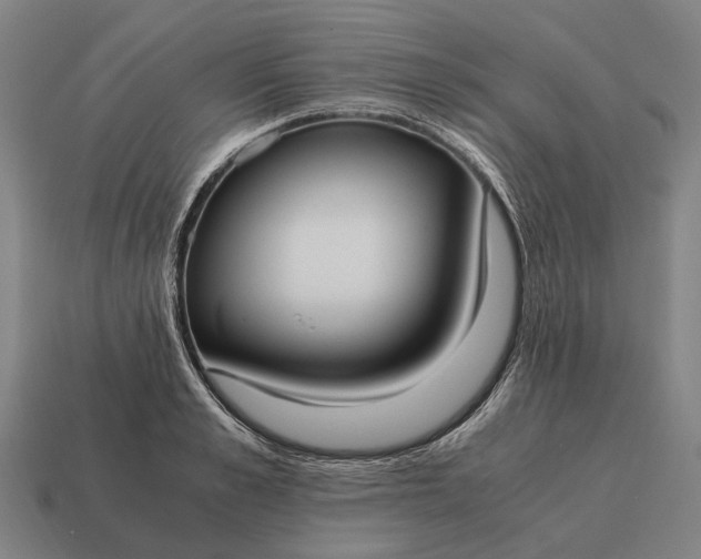 X0000115100989200911101541