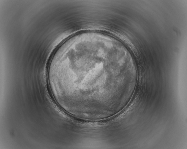 X0000115100990200911101541
