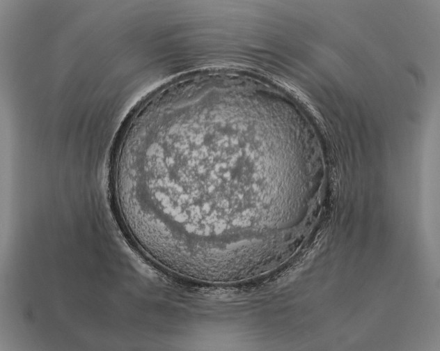 X0000115100991200911101541