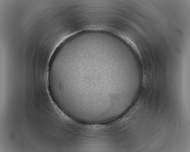 X0000115100992200911101541