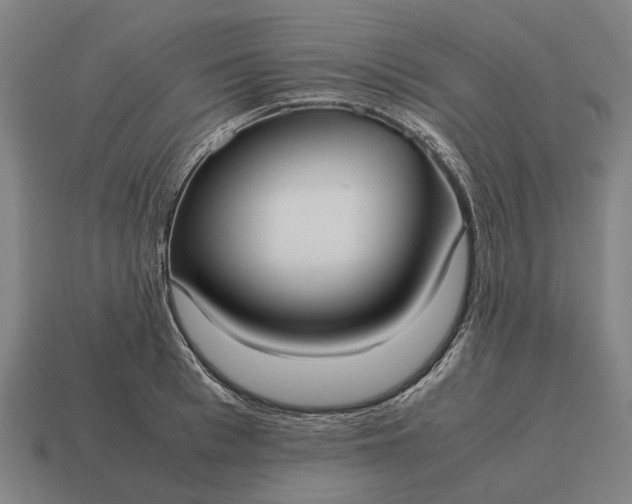 X0000115100993200911101541