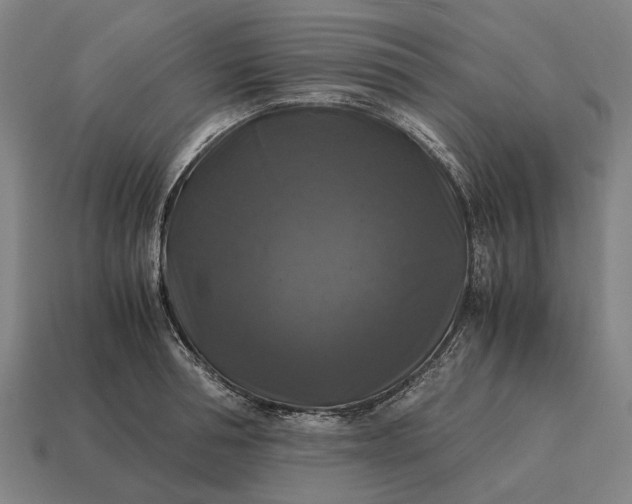 X0000115100994200911101541