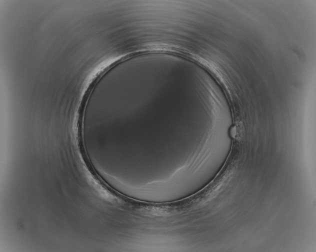 X0000115100995200911101541