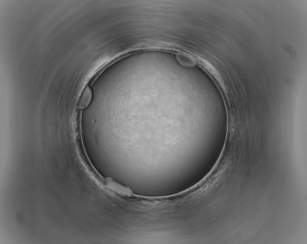 X0000115100997200911101541