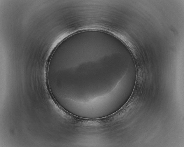 X0000115100998200911101541