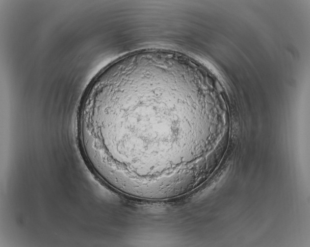 X0000115100999200911101541