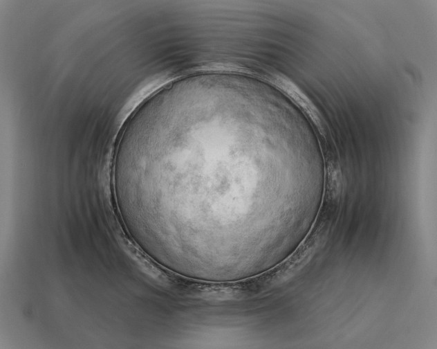 X0000115101002200911101541