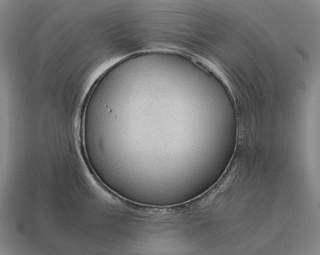 X0000115101003200911101541