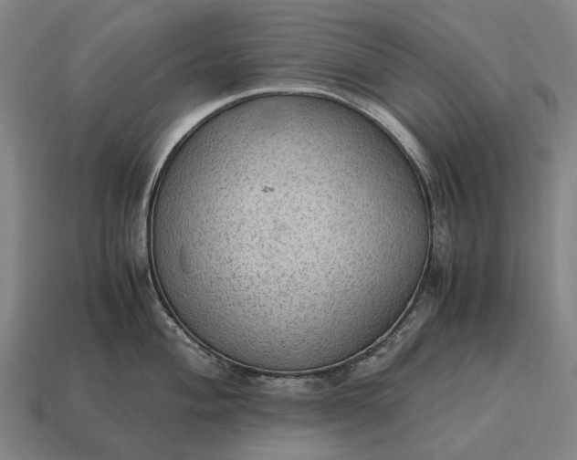 X0000115101004200911101541