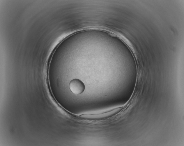 X0000115101005200911101541