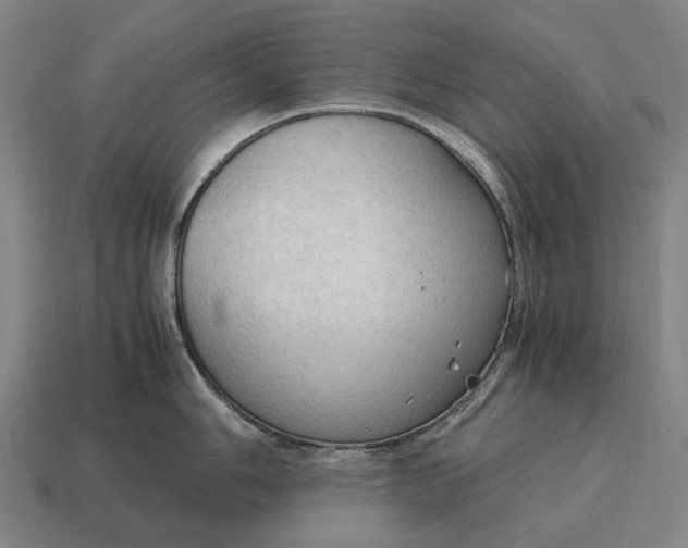 X0000115101006200911101541