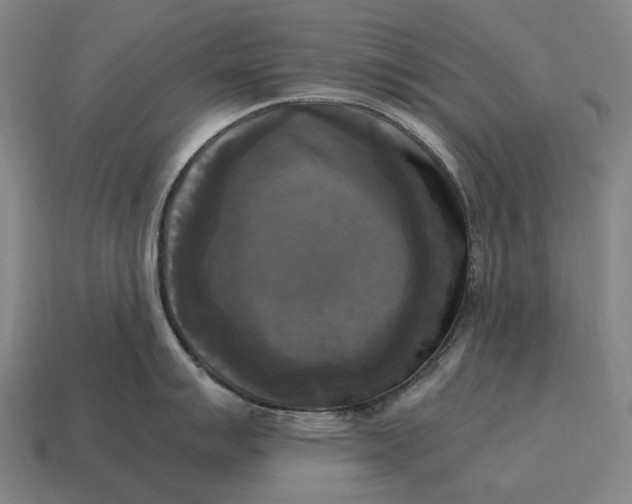 X0000115101007200911101541