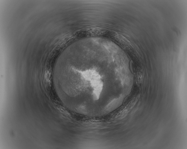 X0000115101010200911101540