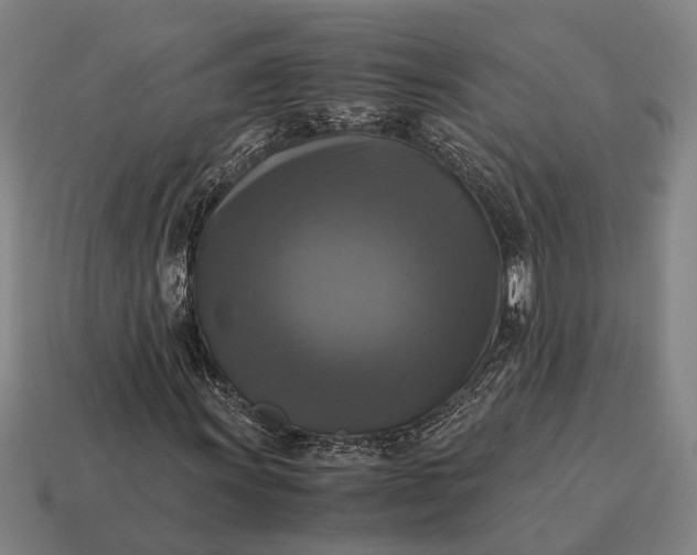 X0000115101011200911101540