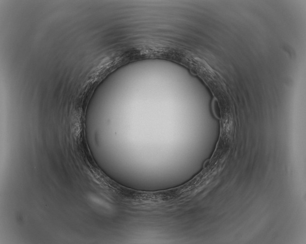 X0000115101012200911101540