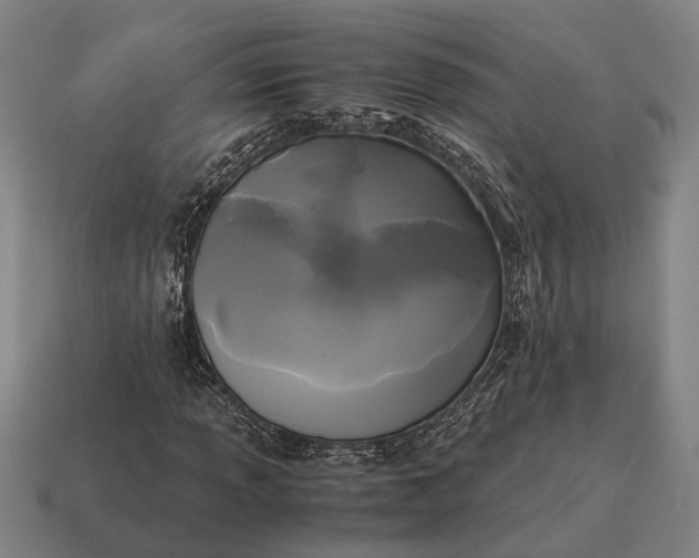 X0000115101013200911101540