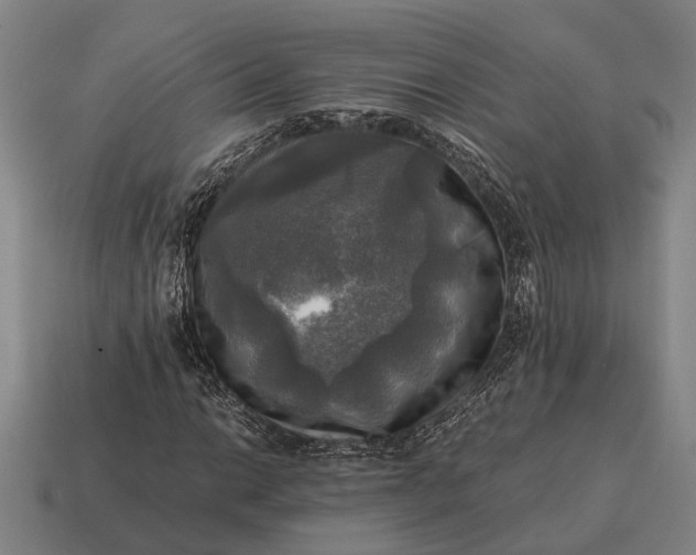 X0000115101014200911101540