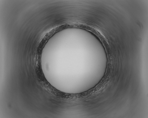 X0000115101016200911101540
