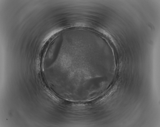 X0000115101019200911101540