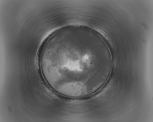 X0000115101022200911101540