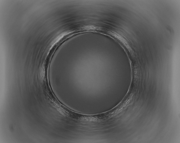 X0000115101023200911101540