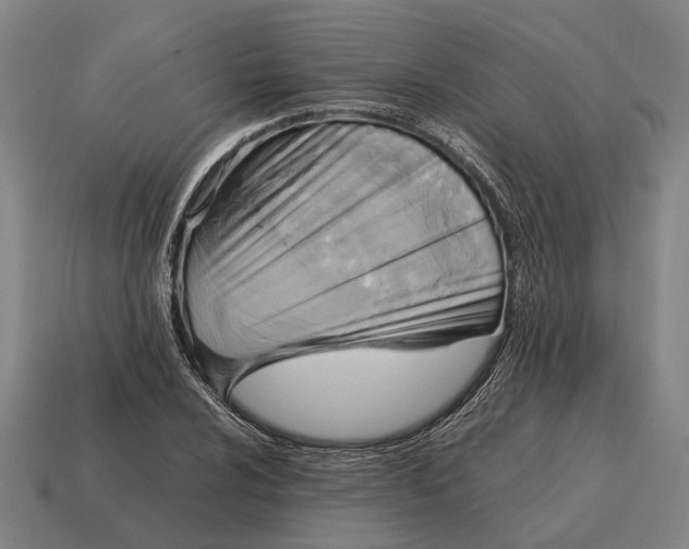 X0000115101024200911101540