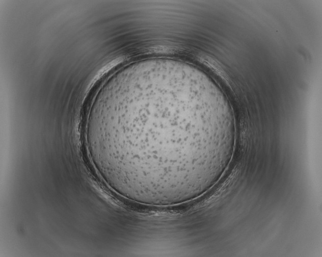 X0000115101026200911101540