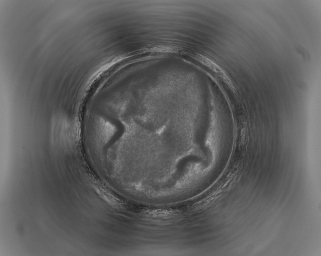 X0000115101027200911101540
