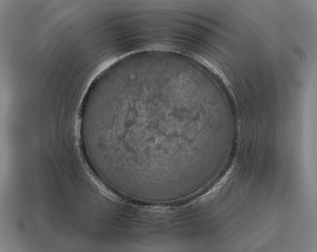 X0000115101029200911101540