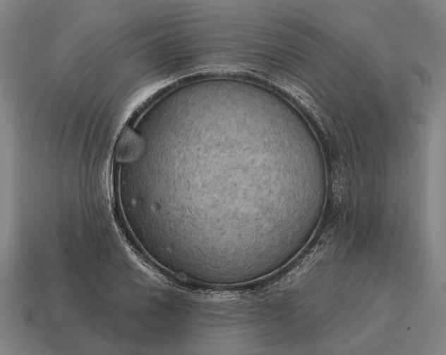 X0000115101030200911101540
