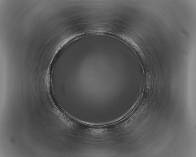 X0000115101031200911101540