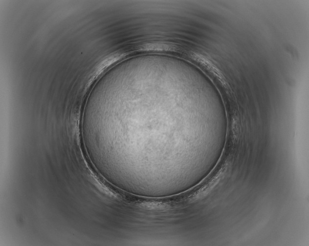 X0000115101033200911101540