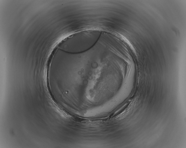 X0000115101035200911101540